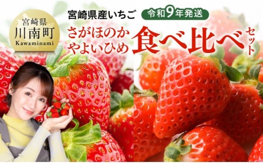 【令和9年発送】 宮崎県産いちご 「さがほのか＆やよいひめ」食べ比べセット 【 先行予約 期間限定 果物 イチゴ 苺 フルーツ 】 [B03801]