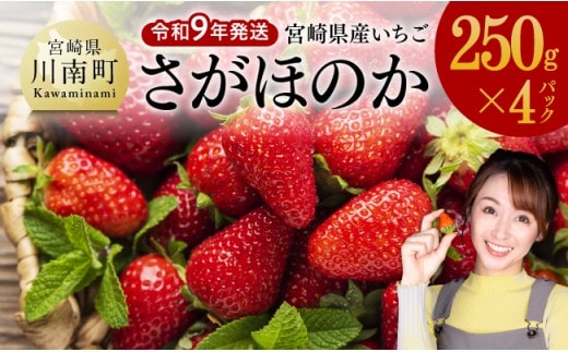【令和9年発送】 宮崎県産いちご 「さがほのか」250ｇ×4パック 【 先行予約 期間限定 果物 イチゴ 苺 フルーツ 】 [B03802]