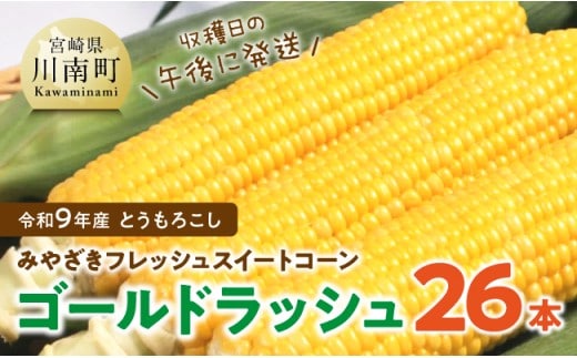【令和9年発送】 宮崎県産とうもろこし みやざきフレッシュスイートコーン「ゴールドラッシュ」26本 【 新鮮 朝どれ 農家直送 トウモロコシ 産地直送 期間限定 数量限定 真空予冷 JA 】 [B03804]