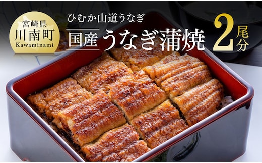 【名店の味！宮崎県産鰻】 ひむか山道うなぎ蒲焼２尾分（260ｇ以上） 【 魚介類 鰻 惣菜 かば焼き 】 [B08410]