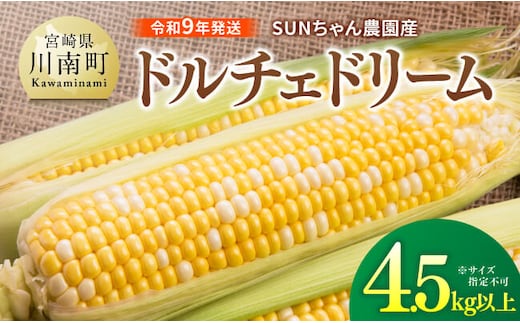 【令和9年発送】SUNちゃん農園産「ドルチェドリーム4.5kg以上（サイズ指定不可）」 【 とうもろこし ドルチェドリーム トウモロコシ 令和9年発送 数量限定 期間限定 】 [B13101]