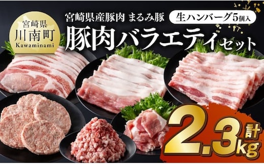 宮崎県産豚肉 「まるみ豚」総重量2.3kg豚肉バラエティセット 生ハンバーグ5個入り【 肉 豚肉 国産 ハンバーグ 小分け 弁当 おかず お手軽 真空パック バラ モモ ロース こま切れ スライス ミンチ 挽肉 九州産 宮崎県産 川南町産 送料無料 】[B11501]