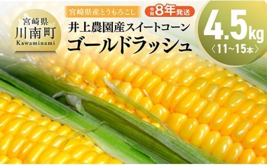 【令和8年発送】宮崎県産とうもろこし 井上農園産スイートコーン(ゴールドラッシュ)4.5kg 【 トウモロコシ スィートコーン 2026年発送 先行予約 数量限定 期間限定 】 [C03901]