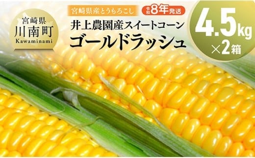 【令和8年発送】宮崎県産とうもろこし 井上農園産スイートコーン(ゴールドラッシュ)4.5kg×2 【 トウモロコシ スィートコーン 2026年発送 先行予約 数量限定 期間限定 】 [C03902]