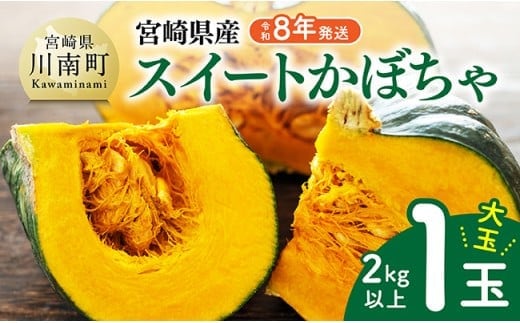 【令和8年発送】宮崎県産 スイートかぼちゃ１玉（2kg以上） 【 2026年発送 野菜 かぼちゃ 南瓜 九州産 宮崎県産 川南町産 新鮮 産地直送 】 [C03905]