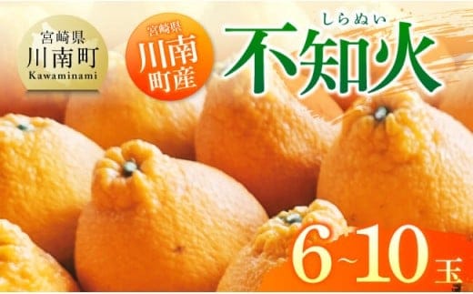 宮崎県川南町産「不知火（しらぬい）」６～１０玉 【 先行予約 季節限定 果物 くだもの フルーツ しらぬい 不知火 みかん 】 [C06705]