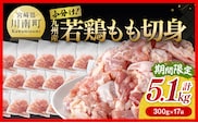 企業努力により実現！ 若鶏もも切身 計5.1kg(4.8kg(300g×16袋)+300g) 【 国産 九州産 鶏肉 肉 とり もも肉 モモ 5.1kg からあげ チキン南蛮 送料無料 】［C00711］