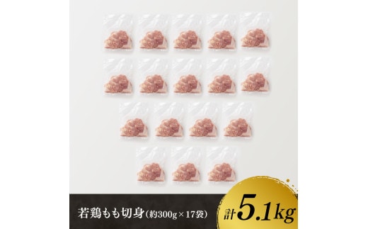 若鶏もも切身 計5.1kg(300g×17袋) 【 国産 九州産 鶏肉 肉 とり もも肉