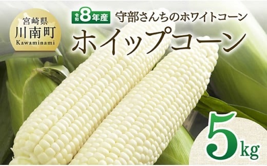 【令和8年発送】宮崎県産とうもろこし 守部さんちのホワイトコーン「ホイップコーン」5kg 【 とうもろこし ホワイトコーン トウモロコシ ホイップコーン 令和8年発送 先行予約 数量限定 期間限定 】 [C06412]