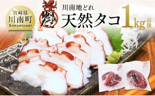 漁協直送！天然タコ（湯がき済）小分けで1kg前後 【 たこ 蛸 海産物 日向灘 地どれ 】 [C01709]