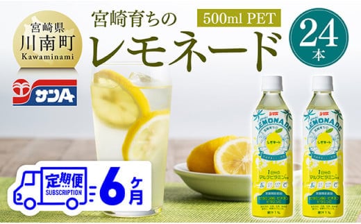 【6ヶ月 定期便 】サンA宮崎育ちのレモネード500mlＰＥＴ 24本入り【 全6回 飲料類 栄養機能食品 レモン 檸檬 マルチビタミン配合 PET セット ジュース 長期保存 備蓄 送料無料 】[C03015t6]