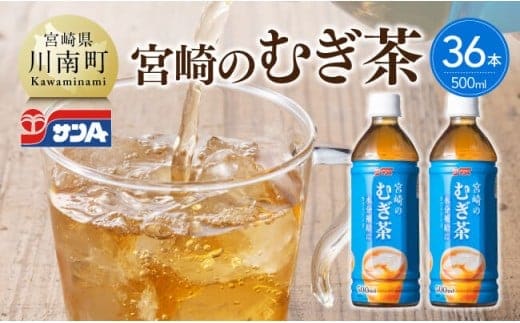 サンA宮崎のむぎ茶 500ml PET×18本×2ケース 【 飲料 お茶 麦茶 宮崎県産 ペットボトル 】 [C03022]
