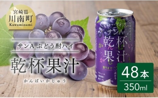 サンA乾杯果汁ぶどう酎ハイ 350ml缶×24本×2ケース 【 飲料 酎ハイ お酒 ぶどう 宮崎県産 】 [C03024]