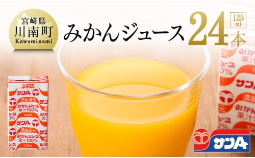 サンAみかんジュース100% 125ml紙パック×24本 【 ふるさと納税 飲料 ジュース みかん ミカン 温州みかん 紙パック 送料無料 】 [C03025]