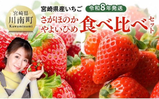 【令和8年発送】 宮崎県産いちご 「さがほのか＆やよいひめ」食べ比べセット 【 先行予約 期間限定 果物 イチゴ 苺 フルーツ 】 [C03801]