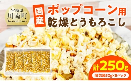 国産ポップコーン用（乾燥とうもろこし） 250g（個包装50g×5パック） 【 数量限定 期間限定 宮崎県産 ポップコーン 】[C07108]