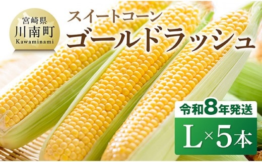 【令和8年発送】宮崎県産とうもろこし スイートコーン「ゴールドラッシュ」L×5本【新鮮 農家直送 トウモロコシ 産地直送 季節限定 期間限定 宮崎県産 九州産】［C09107］