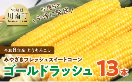 【令和8年発送】 宮崎県産とうもろこし みやざきフレッシュスイートコーン「ゴールドラッシュ」13本 【 新鮮 朝どれ 農家直送 トウモロコシ 産地直送 期間限定 数量限定 真空予冷 JA 】 [C03803]