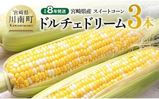 【令和8年発送】宮崎県産とうもろこし スィートコーン「ドルチェドリーム」3本 【 とうもろこし スイートコーン コーン 野菜 】 [C10807]