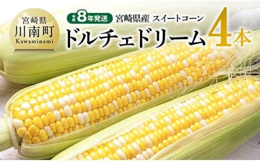 【令和8年発送】宮崎県産とうもろこし スィートコーン「ドルチェドリーム」4本 【 とうもろこし スイートコーン コーン 野菜 】 [C10808]