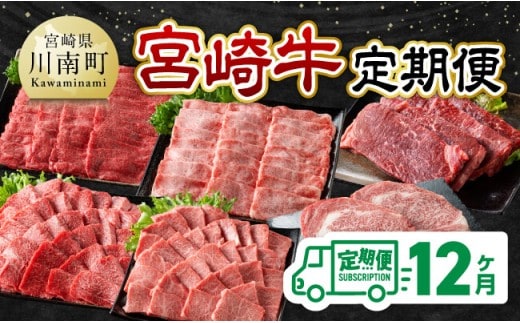 【12ヶ月定期便】宮崎牛定期便【 肉 牛肉 国産 宮崎県産 宮崎牛 黒毛和牛 和牛 焼肉 しゃぶしゃぶ すきしゃぶ 焼しゃぶ 4等級 A4ランク 】［C11123t12］