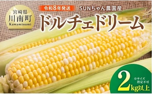 【令和８年発送】SUNちゃん農園産「ドルチェドリーム2kg以上（サイズ指定不可）」【 とうもろこし ドルチェドリーム トウモロコシ 令和8年発送 数量限定 期間限定 】 [C13102]