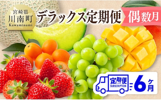 デラックス 定期便 【偶数月】【 川南町産 きんかん いちご 完熟 マンゴー ぶどう シャイン マスカット メロン 全6回定期便】[C11717t6]