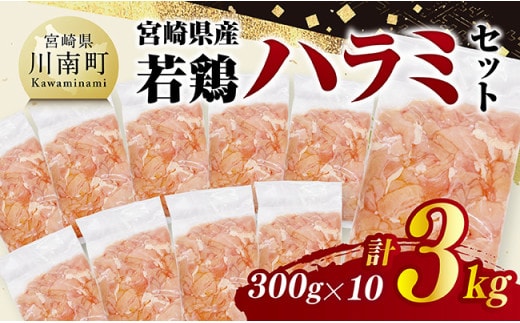 宮崎県産若鶏 ハラミ3kg（300g×10） 【 鶏肉 鶏 ハラミ 肉 宮崎県産 小分け パック 送料無料 】 [C11605]