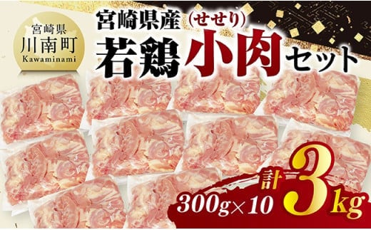 宮崎県産若鶏 小肉(せせり)3㎏（300g×10） 【 鶏肉 鶏 小肉 せせり 肉 宮崎県産 小分け パック 送料無料 】 [C11606]