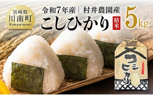【令和7年産】宮崎県産米 村井農園産こしひかり（精米）5kg 【 米 お米 白米 精米 こしひかり 国産 宮崎県産 おにぎり 】[C10004]