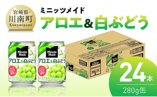 ミニッツメイド「アロエ&白ぶどう」280g缶 24本 【 飲料 アロエ 白ぶどう 果汁 長期保存 】 [C11131]