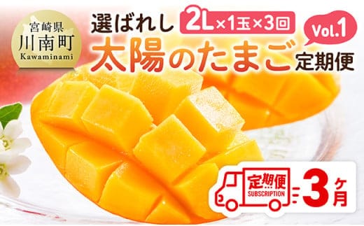 【3ヶ月定期便】選ばれし太陽のたまご定期便Vol.1 【 川南町産 くだもの マンゴー 】[C11708t3]