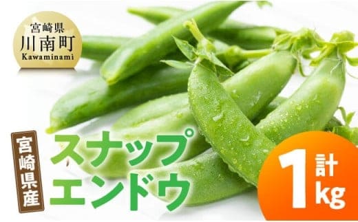 宮崎県産 スナップエンドウ1kg 【 宮崎県産 川南町産 スナップエンドウ 】[C12701]