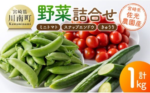 宮崎県佐光農園産 野菜詰め合わせ（ミニトマト・スナップエンドウ・きゅうり）計1kg 【 ミニトマト スナップエンドウ きゅうり 野菜 詰め合わせ 】[C13001]