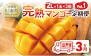 【3ヶ月定期便】完熟マンゴー定期便Vol.1 【 川南町産 くだもの マンゴー   】[C11706t3]