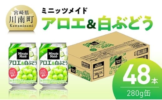 ミニッツメイド「アロエ&白ぶどう」280g缶 48本（24本×2箱） 【 飲料 アロエ 白ぶどう 果汁 長期保存 】 [C11132]
