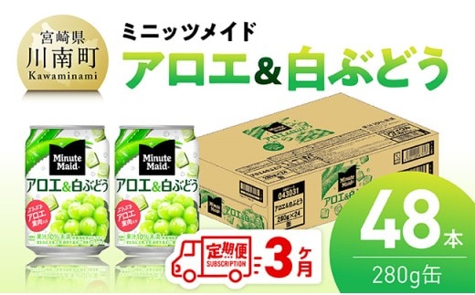 【3ヶ月定期便】ミニッツメイド「アロエ&白ぶどう」280g缶 48本（24本×2箱） 【 飲料 アロエ 白ぶどう 果汁 長期保存 定期便 】 [C11132t3]