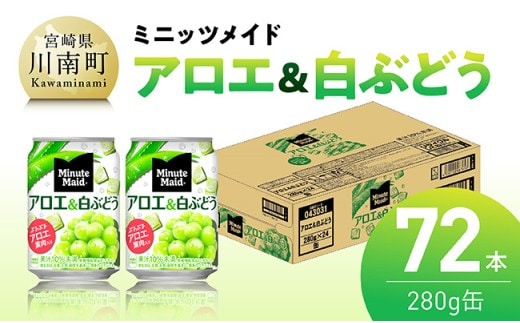 ミニッツメイド「アロエ&白ぶどう」280g缶 72本（24本×3箱） 【 飲料 アロエ 白ぶどう 果汁 長期保存 】 [C11133]