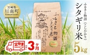 【3ヶ月定期便】※毎月20日頃発送※【令和6年産】宮崎県産こしひかり「シタギリ米」5kg【 お米 新米 2024年産 定期便 全3回 】［D04201t3］