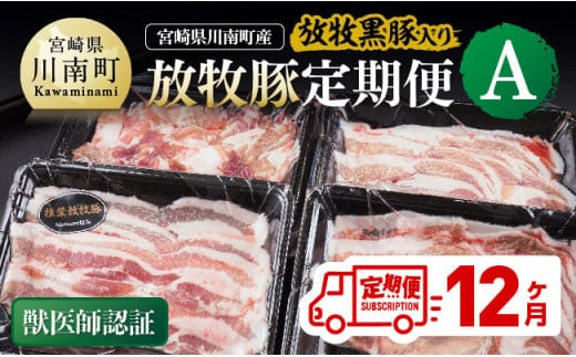 【12ヶ月定期便】宮崎県川南町産豚肉 放牧豚定期便A（放牧黒豚入り） 【 豚 肉 豚肉 黒豚 国産 九州産 宮崎県産 川南町 加工品 セット 送料無料 】[C08106t12]
