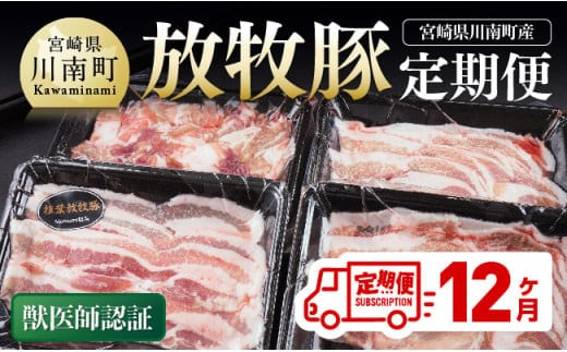 【12ヶ月定期便】宮崎県川南町産豚肉 放牧豚定期便 【 豚 肉 豚肉 国産 九州産 宮崎県産 川南町 加工品 セット 送料無料 】[C08108t12]