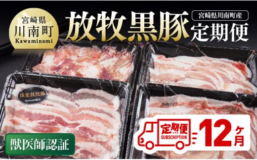 【12ヶ月定期便】宮崎県川南町産豚肉 放牧黒豚定期便 【 豚 肉 豚肉 国産 黒豚 九州産 宮崎県産 川南町 加工品 セット 送料無料 】[C08109t12]