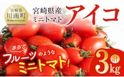 宮崎県産ミニトマト「アイコ」3kg 【 宮崎県産 ミニトマト トマト 】[C03805]
