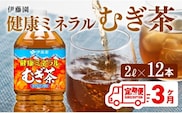 【3ケ月定期便】 伊藤園 健康ミネラル むぎ茶 2L×6本×2ケースPET 【 飲料類 ソフトドリンク 水分補給 お茶 麦茶 ペットボトル 】 宮崎県川南町 [D07359t3]