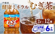 【6ケ月定期便】 伊藤園 健康ミネラル むぎ茶 2L×6本×2ケースPET 【 飲料類 ソフトドリンク 水分補給 お茶 麦茶 ペットボトル 】 宮崎県川南町 [D07359t6]