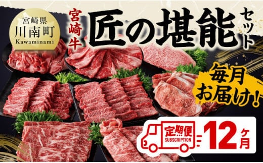【定期便】宮崎牛 匠の堪能セット 12か月定期便 【 肉 牛肉 国産 黒毛和牛 宮崎牛 全12回 焼肉 しゃぶしゃぶ 焼きしゃぶ BBQ 宮崎県 川南町 】［C11413t12］