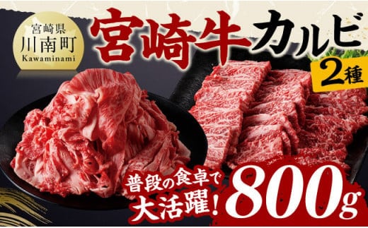 宮崎牛カルビ焼肉・切り落としセット合計800ｇ 【 肉 牛肉 国産 黒毛和牛 宮崎牛 焼肉 宮崎県 川南町 】［D11405］