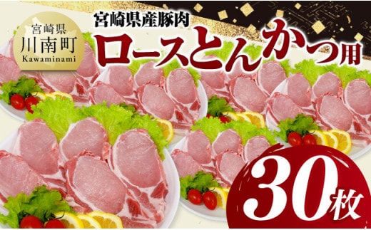 宮崎県産豚肉 ロースとんかつ用（100g以上×30枚） 【 豚肉 豚 肉 宮崎県産 ロースカツ 送料無料 】[C11620]