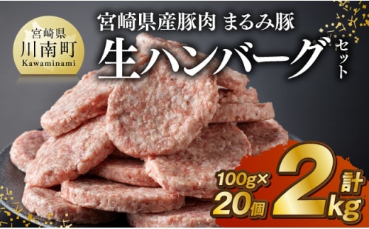 宮崎県産豚肉 「まるみ豚」 生ハンバーグセット計2kg（100g×20個） 【 肉 豚肉 国産 ハンバ―グ 弁当 おかず お手軽 真空パック 九州産 宮崎県産 川南町産 送料無料 】[D11518]