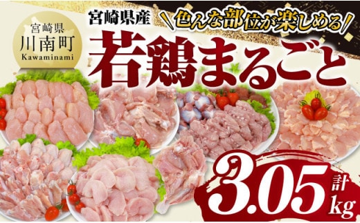 宮崎県産 若鶏 まるごと 3.05kg 【 もも むね ささみ 砂肝 手羽先 手羽元 小肉 鶏肉 とり肉 セット ごはん 料理 】[C11623]